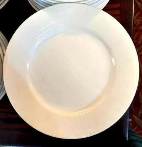 (26) 9" CHINA PLATES