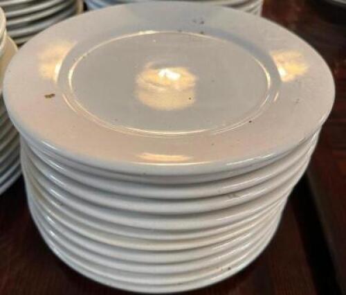 DESCRIPTION: (36) 9" CHINA PLATES SIZE 36" LOCATION: MAIN SEATING THIS LOT IS: SOLD BY THE PIECE QTY: 36
