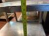 DESCRIPTION: 25" STAINLESS TABLE WITH WELDED UNDERSHELVES SIZE: 25"X15"X33" LOCATION: KITCHEN QTY: 1 - 4