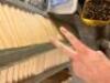 (2) 2-LOUVER PANEL BI-FOLD INTERIOR DOORS - 4