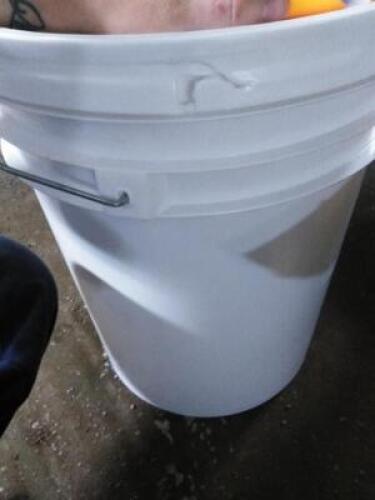DESCRIPTION: (1) MISC WHITE BUCKETINFORMATION: CONTENTS UNKNOWNSIZE: 5 GALLONRETAIL$: $15.75 EAQTY: 1