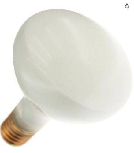 &nbsp;DESCRIPTION:&nbsp;(9) FLOOD LIGHTBRAND/MODEL:&nbsp;300R40IFINFORMATION:&nbsp;120VSIZE:&nbsp;E39RETAIL$:&nbsp;$12.78 EAQTY:&nbsp;9