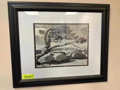 DESCRIPTION: 24" FRAMED BLACK AND WHITE PRINT LOCATION: DOWNSTAIRS OFFICE QTY: 1