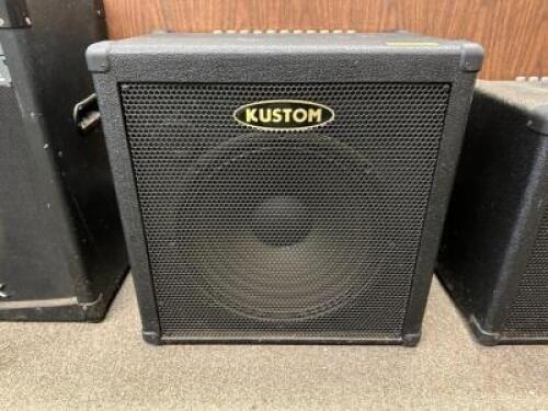 100 WATT AMPLIFIER