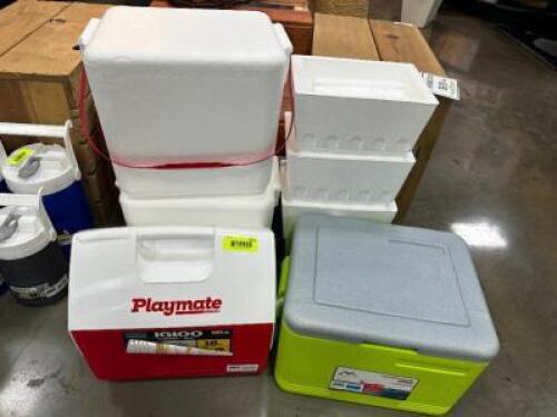 (6) FOAM COOLERS AND (2) PLASTIC DRINK COOLERS.