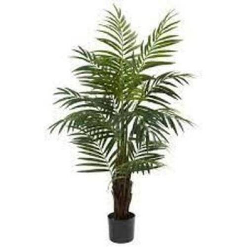 DESCRIPTION: (1) ARTIFICAL PALM TREEBRAND/MODEL: T2014-MBRETAIL$: $24.87 EAQTY: 1