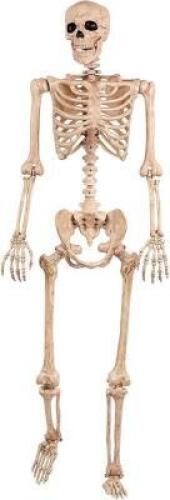 Crazy Bonez Pose-N-Stay Skeleton