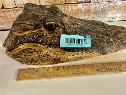 ALLIGATOR HEAD