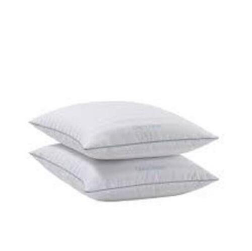 DESCRIPTION: (1) LOT OF (2) PILLOWS RETAIL$: $60.79 EA QTY: 1