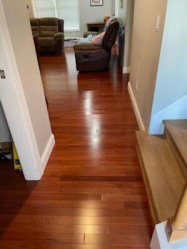 (40) CARTONS OF AUTHENTIC SOLIDS GUNSTOCK FLOORING. 1,508 TOTAL SQUARE FEET.