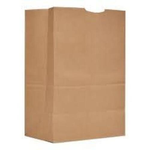 DESCRIPTION: (1) BOX OF APPROX (100) PAPER BAGSQTY: 1