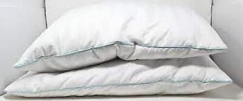 DESCRIPTION: (4) PILLOW BRAND/MODEL: GRAND HAVEN RETAIL$: $35.45 EA QTY: 4