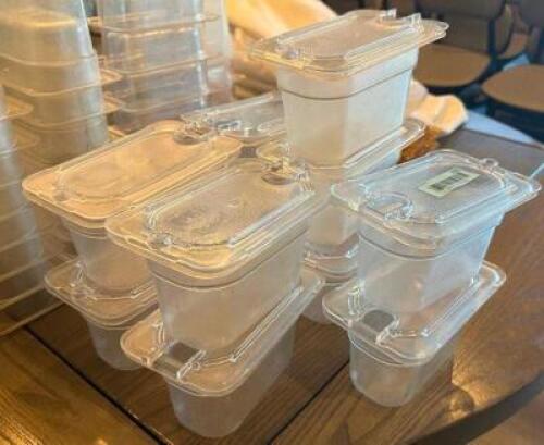 (11) 1/9 SIZE PLASTIC INSERTS W/ LIDS