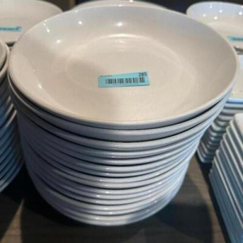 (14) 11" CHINA PLATES