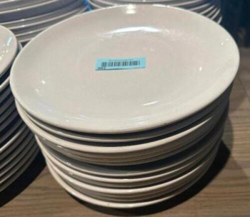 (12) 11" CHINA PLATES