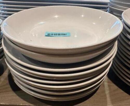 (12) 11" CHINA PLATES