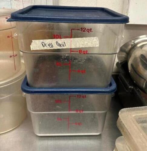 (2) 12 QT PLASTIC CONTAINERS W/ LID