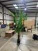 Artificial Palm Tree in Pot - 3