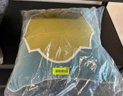 DESCRIPTION: BRADSHAW THROW PILLOW SIZE: 20"X20" QTY: 1