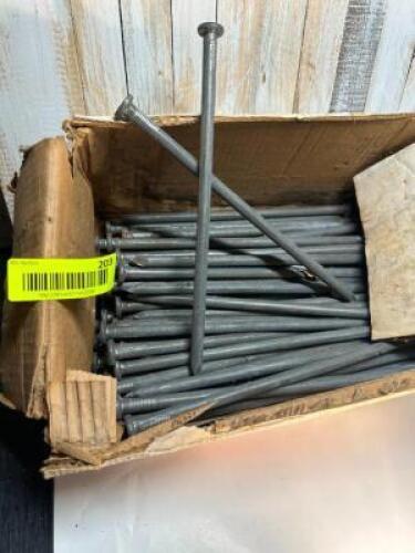 50CT BOX OF 10" SPIKES