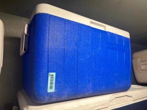 COLEMAN BLUE PLASTIC COOLER.