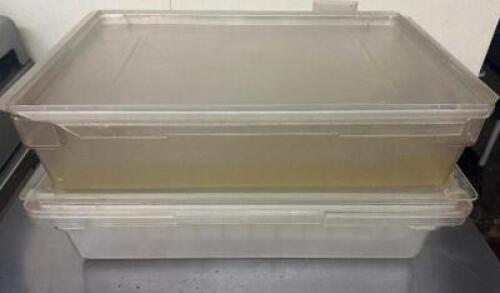 (2) FULL SIZE PLASTIC SALAD CONTAINERS W/ DRAIN PAIN INSERTS.