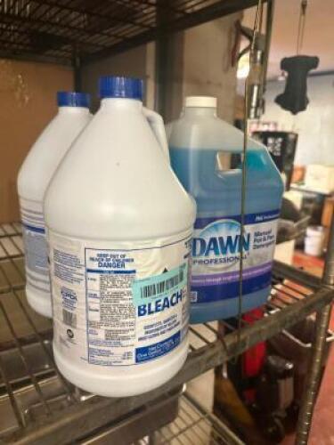 (2 BOTTLES OF BLEACH AND (2) BOTTLES OF DISH SOAP.
