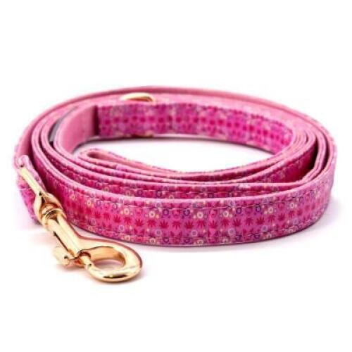 100 CT. BOX OF PREMIUM DOG LEASHES