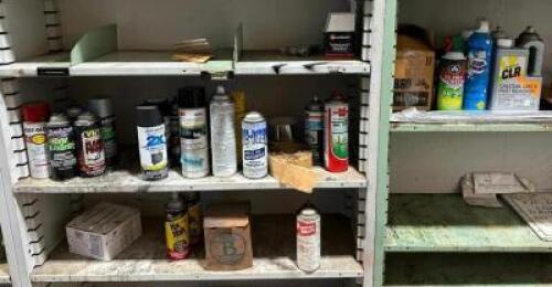 ASSORTED AUTO CHEMICALS, SPRAY PAINT, ETC.