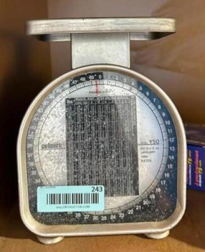 MANUAL SCALE