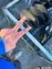 HEAVY DUTY AUGER DRIVE AND BIT SET - 3