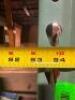 (2) - SECTIONS OF 11' PALLET RACKING - 4