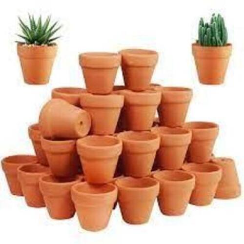 DESCRIPTION: (3) CASES OF (10) MINI PLANTING POTS BRAND/MODEL: TERRACOTTA RETAIL$: $28.99 PER CASE QTY: 3
