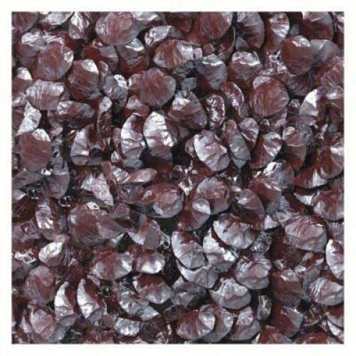 DESCRIPTION: (1) #54 GRIT BROWN ALUMINUM OXIDE BRAND/MODEL: CINCINNATI ABRASIVE SUPPLY SIZE: 50 LBS RETAIL$: $72.00 EA QTY: 1