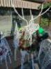 LARGE REINDEER - 2