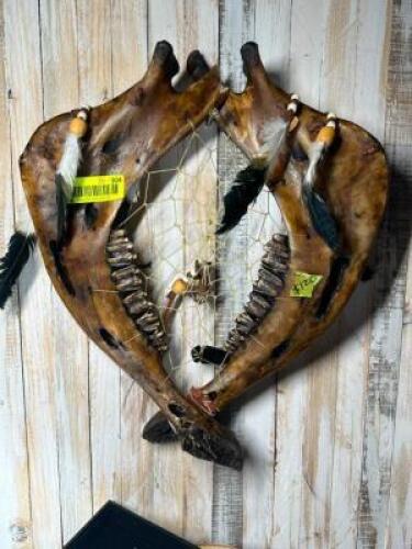 NATIVE AMERICAN BUFFALO JAW DREAM CATCHER