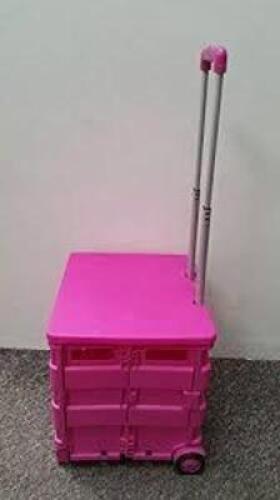 DESCRIPTION: (1) FOLDING STORAGE ROLLING CART SIZE: PINK RETAIL$: $12.87 EA QTY: 1