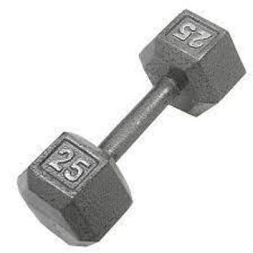 DESCRIPTION: (1) DUMBBELL SIZE: 25 LB QTY: 1