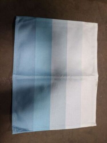 DESCRIPTION: (7) PACKS OF (4) PLACE MATS BRAND/MODEL: FARMLYN CREEK INFORMATION: BLUE AND WHITE, FLEXIBLE SIZE: REGULAR SIZED PLACEMATS RETAIL$: $10.9