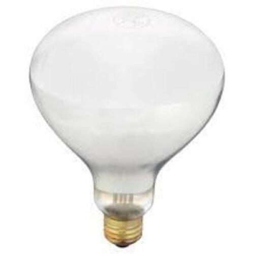 DESCRIPTION: (12) LIGHT BULB REPLACEMENTS BRAND/MODEL: SHAT-R-SHIELD #11D011 SIZE: 250BR40/1 120V RETAIL$: $289.44 EA QTY: 12