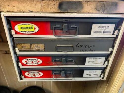 (4) BINS OF PINS, PLUGS, AND SCREWS