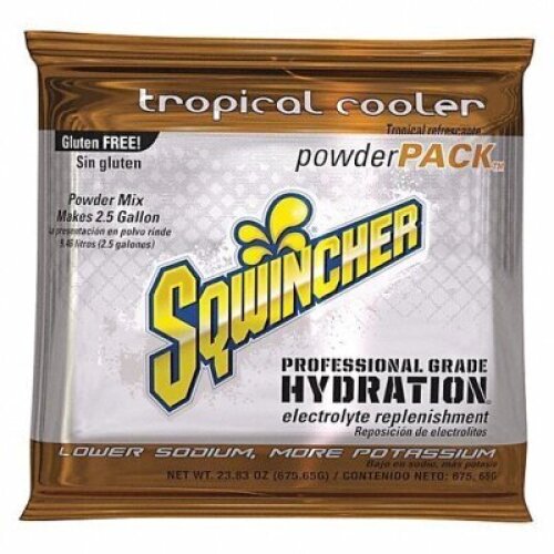 (4) SPORTS DRINK CONCENTRATED PACKET