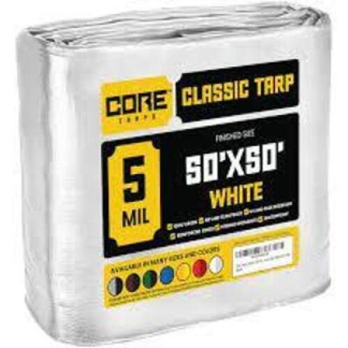 DESCRIPTION: (1) CLASSIC TARPBRAND/MODEL: COREINFORMATION: GRAY, MAY HAVE TEAR, SEE INSPECTIONSIZE: 50X50RETAIL$: $189.45 EAQTY: 1