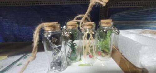 DESCRIPTION: (2) PACKS OF (6) SPICE JAR ORNAMENT BRAND/MODEL: JUVALE INFORMATION: GLASS JARS RETAIL$: $17.99 EA QTY: 2