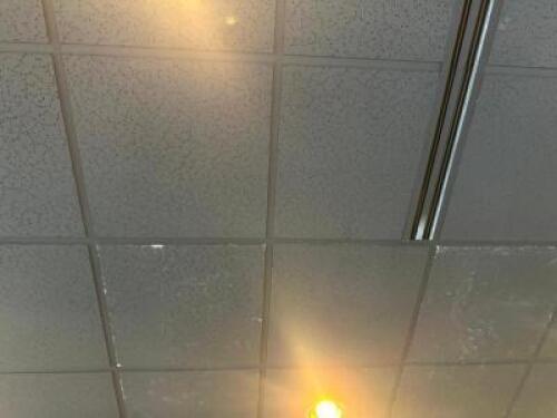 APPROX 250-300 24" X 24" BLACK CEILING TILES.