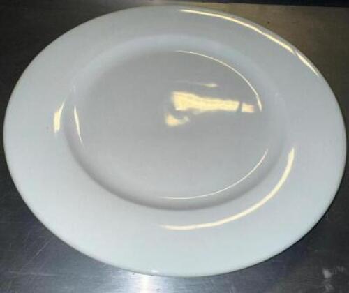 (12) 10.5" CHINA PLATES