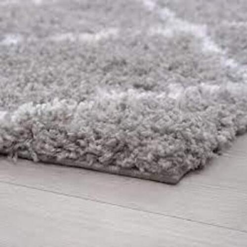 DESCRIPTION: (1) AREA RUG BRAND/MODEL: JERSEY SHAG #JRS1002 INFORMATION: SILVER SIZE: 7'10" X 10'2" RETAIL$: $262.50 EA QTY: 1
