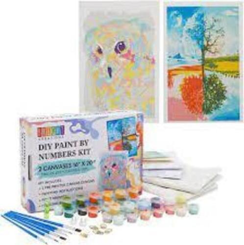 DESCRIPTION: (2) PAINT BY NUMBERS BRAND/MODEL: BRIGHT CREATIONS SIZE: 16X20 RETAIL$: $14.98 EA QTY: 2