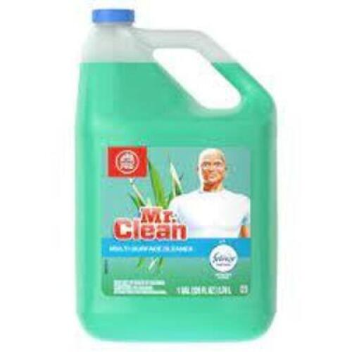 DESCRIPTION: (2) MULTI-PURPOSE CLEANER BRAND/MODEL: MR CLEAN #33NT80 SIZE: 1 GALLON RETAIL$: $17.00 EA QTY: 2