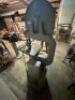 ROCKWELL MODEL 14 BAND SAW - 6